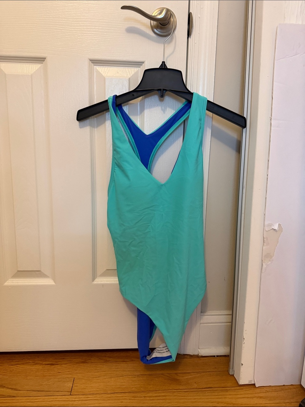 Speedo Teal and Royal Blue One-Piece Swimsuit